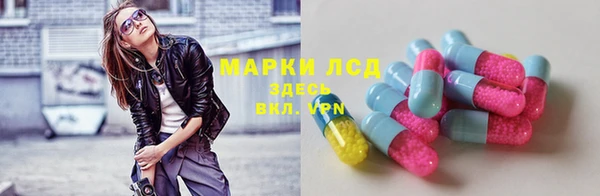 прущие грибы Абдулино