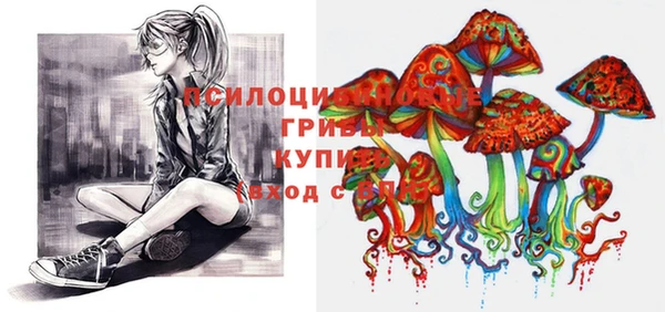 прущие грибы Абдулино