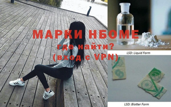 прущие грибы Абдулино