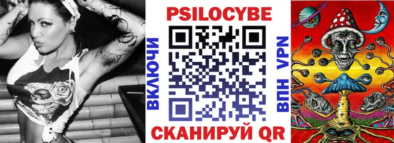 Галлюциногенные грибы Psilocybe  купить закладку  Ржев 