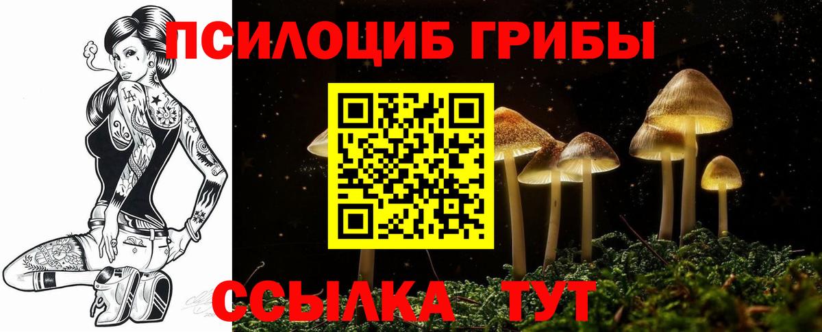 Галлюциногенные грибы MAGIC MUSHROOMS Ржев